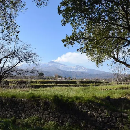 Etna Tra Le Querce *