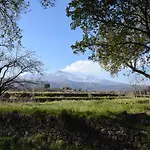 Etna Tra Le Querce *